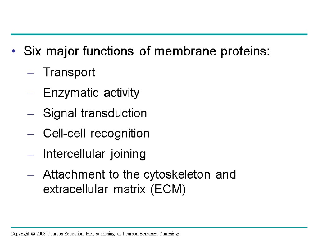 Six major functions of membrane proteins: Transport Enzymatic activity Signal transduction Cell-cell recognition Intercellular